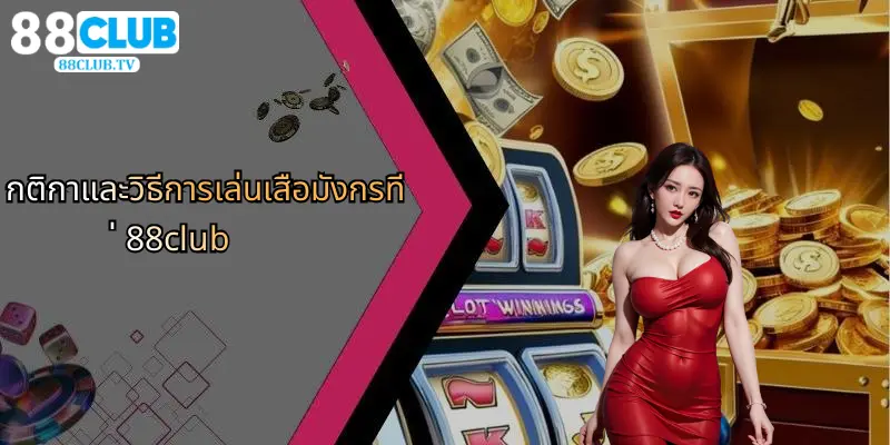 เสือมังกร: เกมไพ่ยอดฮิต เล่นง่าย ลุ้นสนุกที่ 88Club 2 กติกาและวิธีการเล่นเสือมังกรที่ 88club