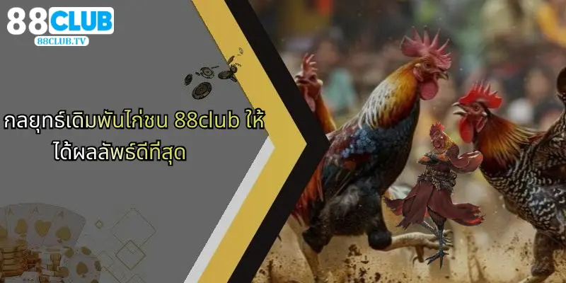 ไก่ชน 88Club: ประสบการณ์การเดิมพันที่เหนือระดับและกลยุทธ์ทำกำไร 2 กลยุทธ์เดิมพันไก่ชน 88club ให้ได้ผลลัพธ์ดีที่สุด