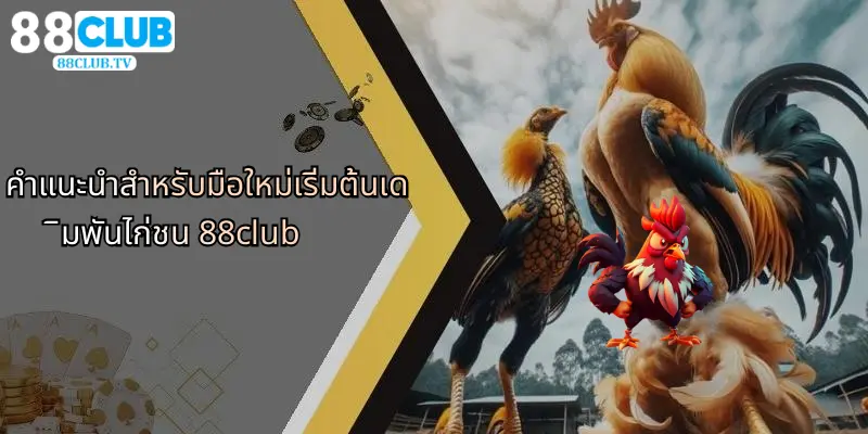 ไก่ชน 88Club: ประสบการณ์การเดิมพันที่เหนือระดับและกลยุทธ์ทำกำไร 5 คำแนะนำสำหรับมือใหม่เริ่มต้นเดิมพันไก่ชน 88club