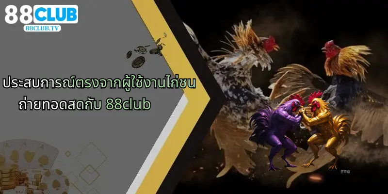 ไก่ชนถ่ายทอดสด: ประสบการณ์การเดิมพันที่เหนือระดับกับ 88Club 5 ประสบการณ์ตรงจากผู้ใช้งานไก่ชนถ่ายทอดสดกับ 88club