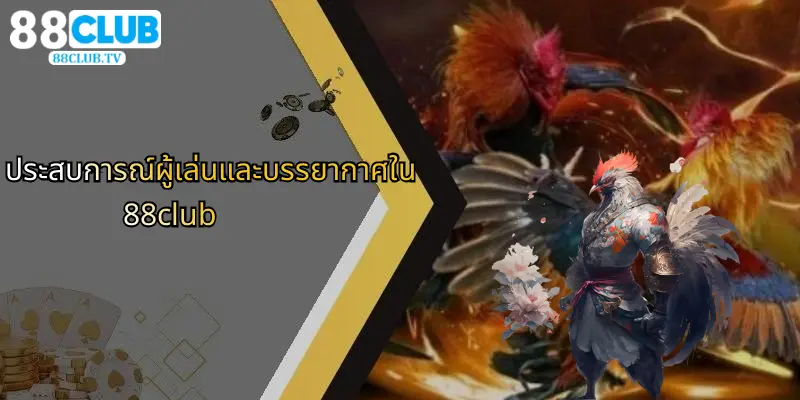 ประสบการณ์ผู้เล่นและบรรยากาศใน 88club