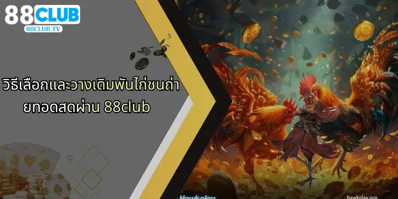 ไก่ชนถ่ายทอดสด: ประสบการณ์การเดิมพันที่เหนือระดับกับ 88Club 2 วิธีเลือกและวางเดิมพันไก่ชนถ่ายทอดสดผ่าน 88club