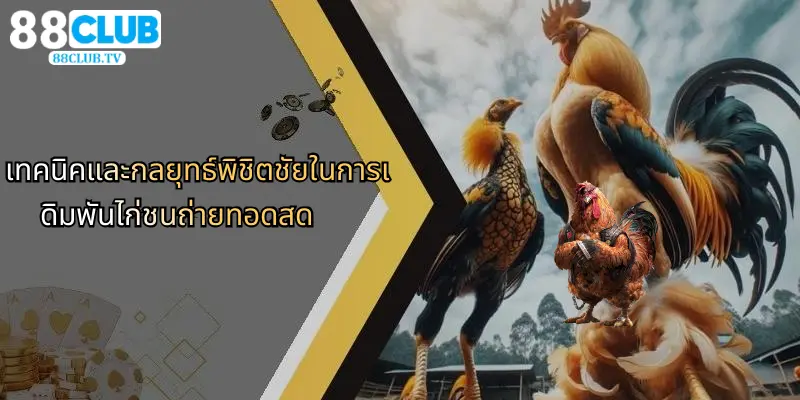 ไก่ชนถ่ายทอดสด: ประสบการณ์การเดิมพันที่เหนือระดับกับ 88Club 4 เทคนิคและกลยุทธ์พิชิตชัยในการเดิมพันไก่ชนถ่ายทอดสด
