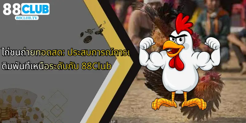 ไก่ชนถ่ายทอดสด: ประสบการณ์การเดิมพันที่เหนือระดับกับ 88Club 1 ไก่ชนถ่ายทอดสด-ประสบการณ์การเดิมพันที่เหนือระดับกับ-88club