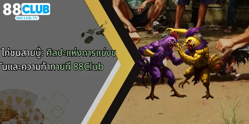ไก่ชนสายบู๊-ศิลปะแห่งการแข่งขันและความท้าทายที่-88club